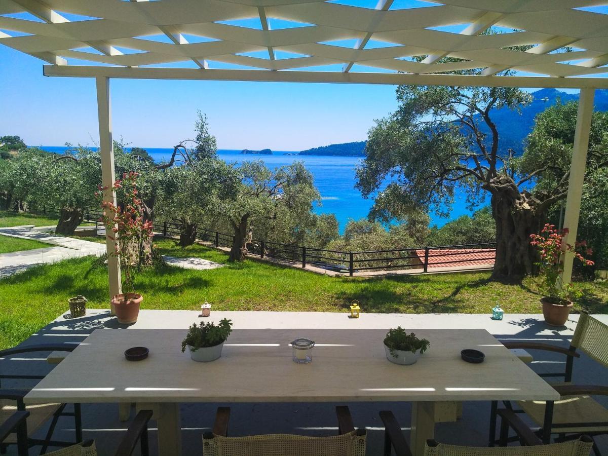 Celeste Golden Beach Chrysi Ammoudia Dış mekan fotoğraf
