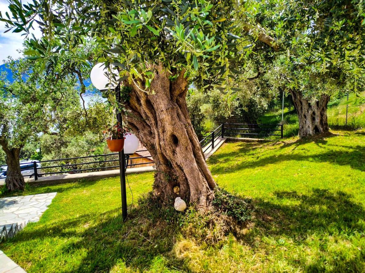 Celeste Golden Beach Chrysi Ammoudia Dış mekan fotoğraf